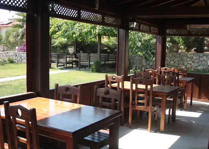 Coral オルデニズ